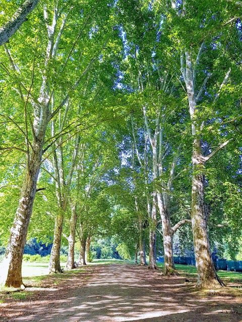 KZN National Botanical Garden